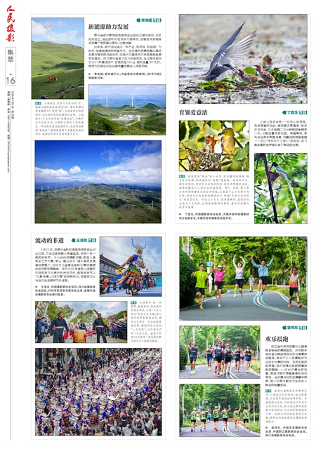 第16版：集萃