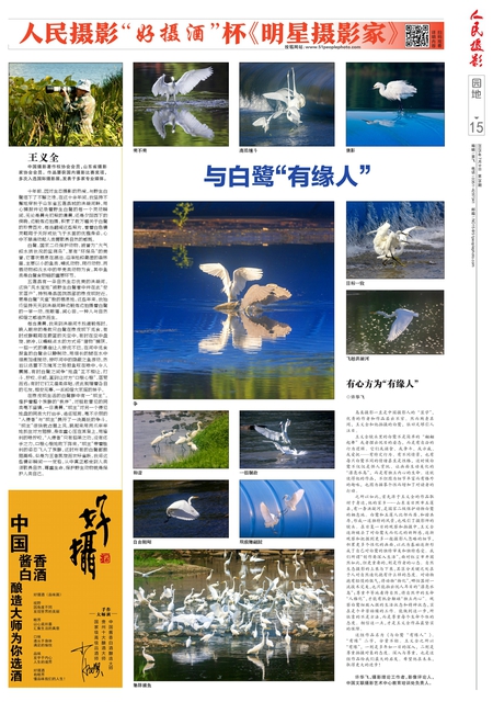 第15版：园地