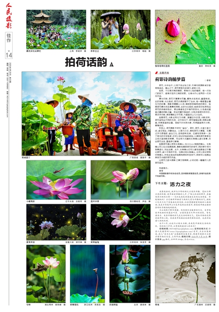 第14版：佳作